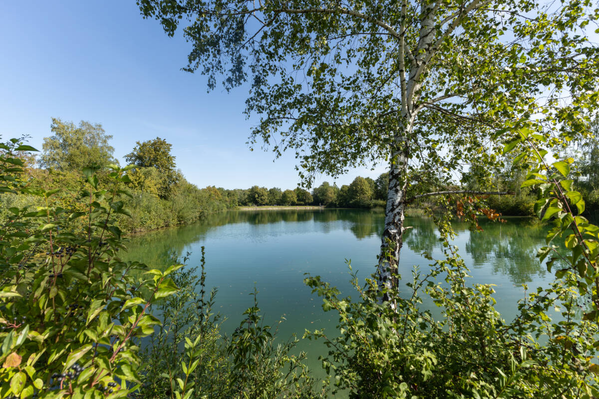 Wünschsee in Gundelfingen